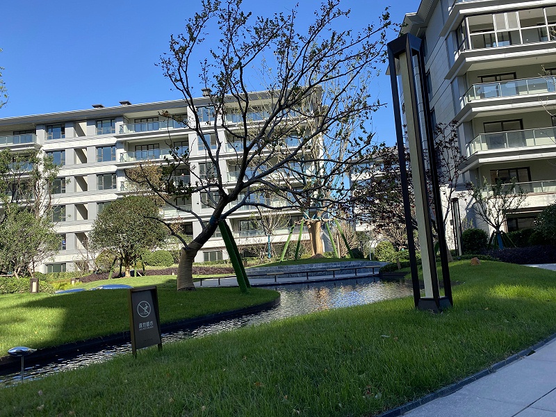 2021_11_09_10_28_IMG_8947 2021_11_09_10_28_IMG_8947