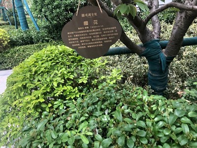 房地產(chǎn)小區(qū)標(biāo)識(shí)系統(tǒng)制作清單明細(xì)